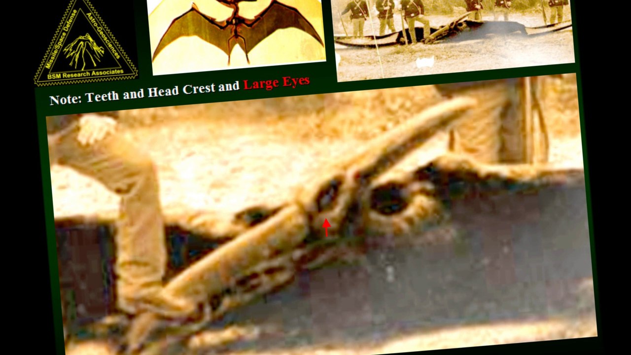 Point Pleasant Runnng Mothman: How Pterosaur (Owlman/Slenderman/ROPEN/Kongomato) Runs