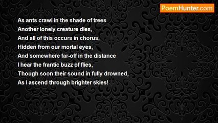 Joshua Dinkin - Pure Obscurity