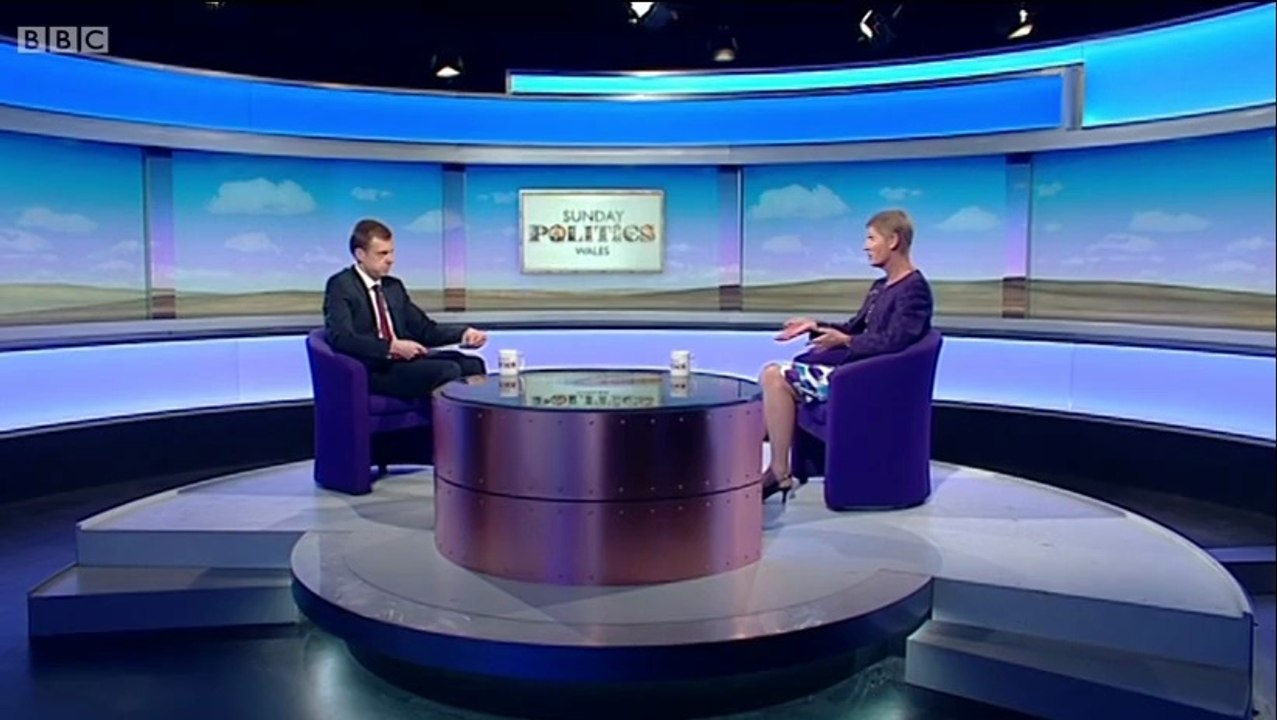 BBC1_Sunday Politics Wales 15Jun14 on badger vaccination in Wales