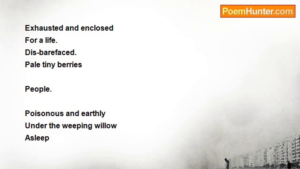 Afrodita Nikolova - Rattlesnakes