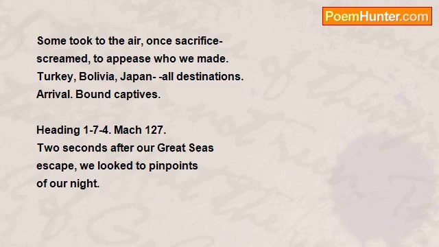 elysabeth faslund - After The Dinosaurs...The Mammals