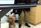 Dog Delighted to Be Reunited With Family After Surgery