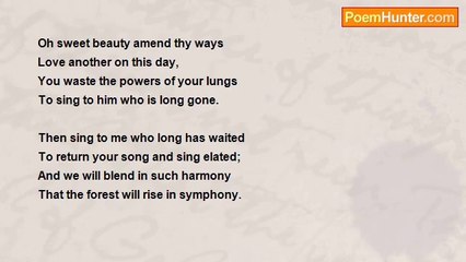 David McLansky - Laurel's Song