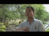 Timsah Oğlanın Elini Tuttu   Timsah   Crocodile Saldırısı - YouTube