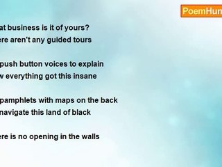 Noah Body - Uncovering the Secrets Behind the Chaos 🕵️‍♂️