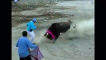 Matadors taken down in Peruvian bullfight