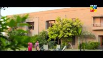 Shabe Zindagi Episode 21 Full Drama On HUM TV Drama 