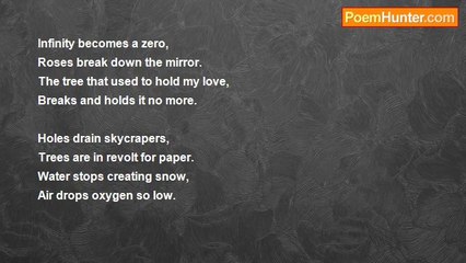 Looking Up. - My Dolphin Fin