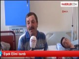 Eşek Elini Isırdı - Haberler.com ömer aytekin