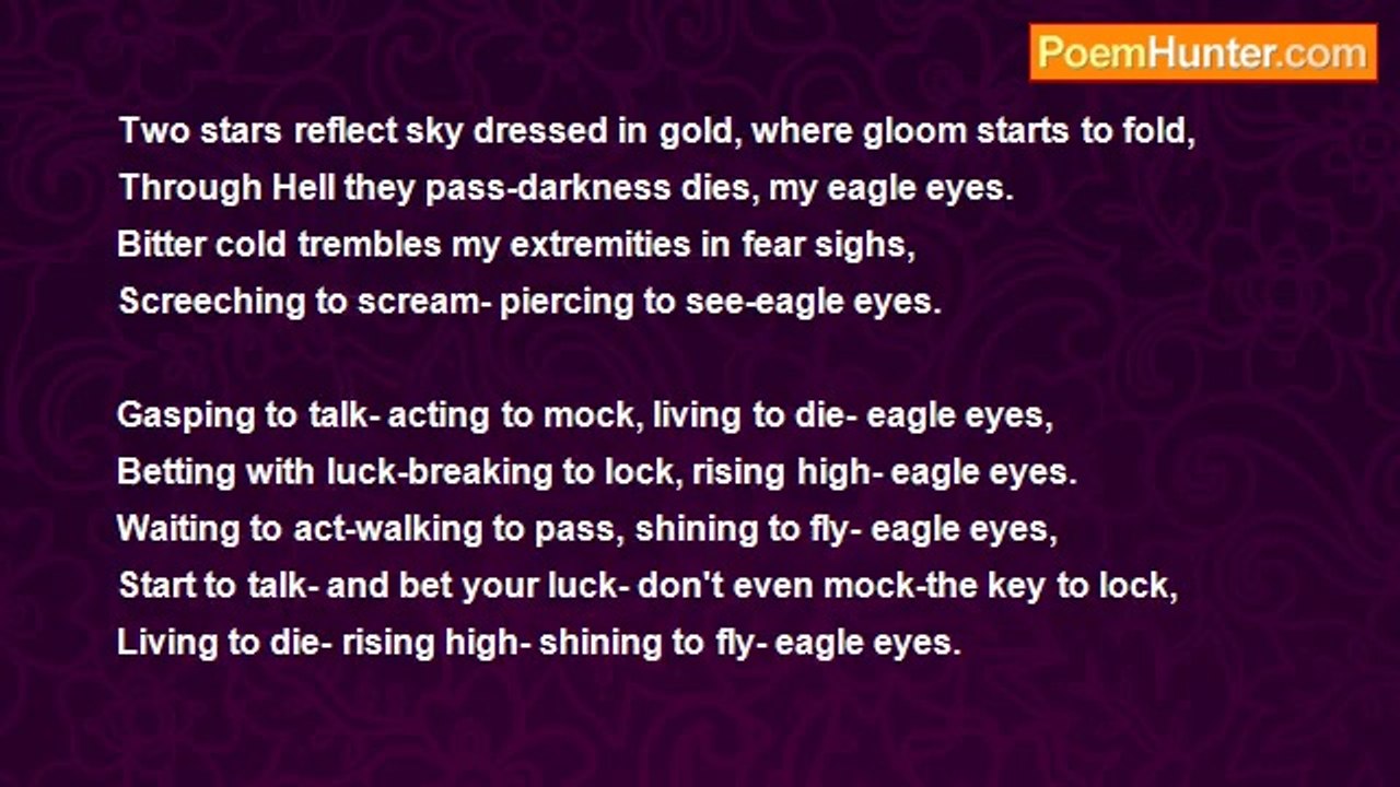 Looking Up. - Eagle Eyes