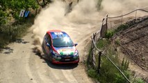 2014 Oyak Renault Yeşil Bursa Rallisi / Ümit Can Özdemir - Afşin Baydar / Ford Fiesta R2