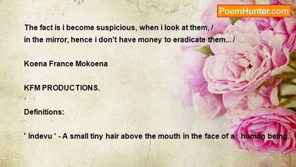 kfm Productions - ' Indevu '...(27 / 03 / 2013 / 14: 45-AN) .