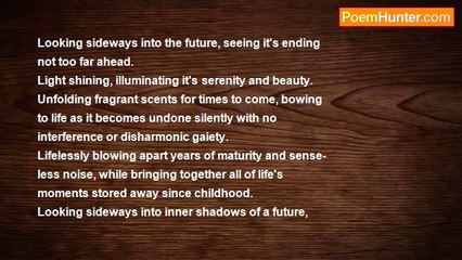 RoseAnn V. Shawiak - Inner Shadows