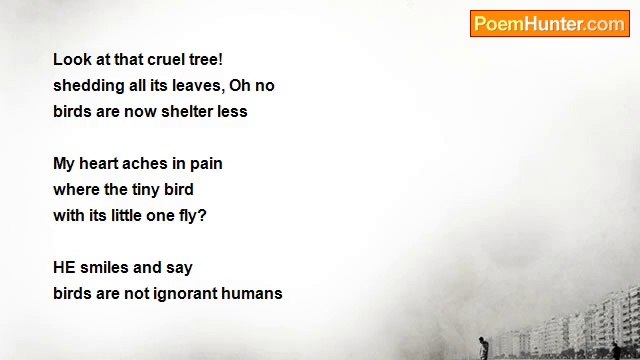 Ambrosia Ambrosia - Look at forests, not trees!