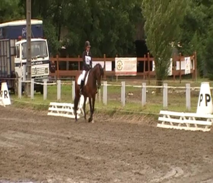 Mégane et Odra, Dressage Amateur 2 CCE, Pibrac, 31 mai 2014