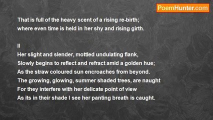 Andrew David Dalby - The Deer.