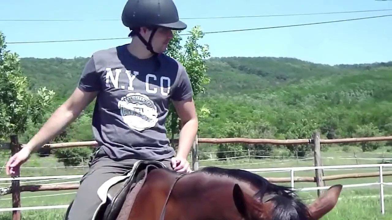 Balazs Horse Riding