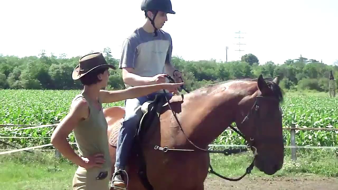 David Horse Riding