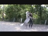 At - Atlar -Horse Fight Big - Horses   (22)