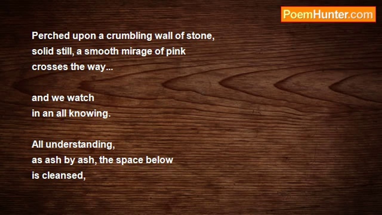 Mae AC. - ✝Phoenix Landing+Willow