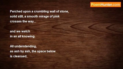 Mae AC. - ✝Phoenix Landing+Willow