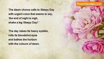 Isam Hussain - Sleepy Day