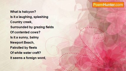 Sandi J Holland - Halcyon Days