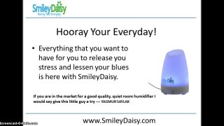 The SmileyDaisy Aromatherapy Diffuser Review