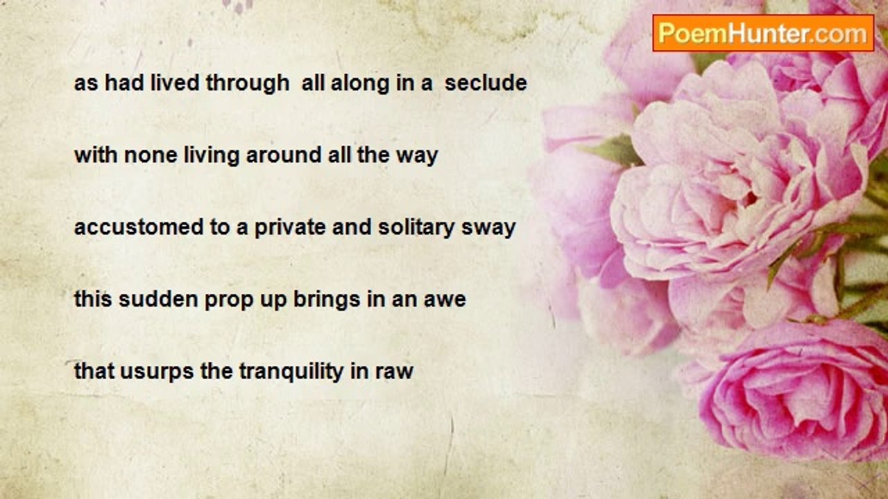 Meena Somasundaram - The Condos Around Me