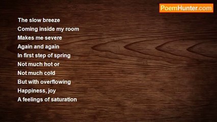 Tadasha Tripathy - The Slow Breeze