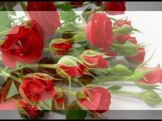 I LOVE You My Friend ❤ Beautiful Roses For You ❤