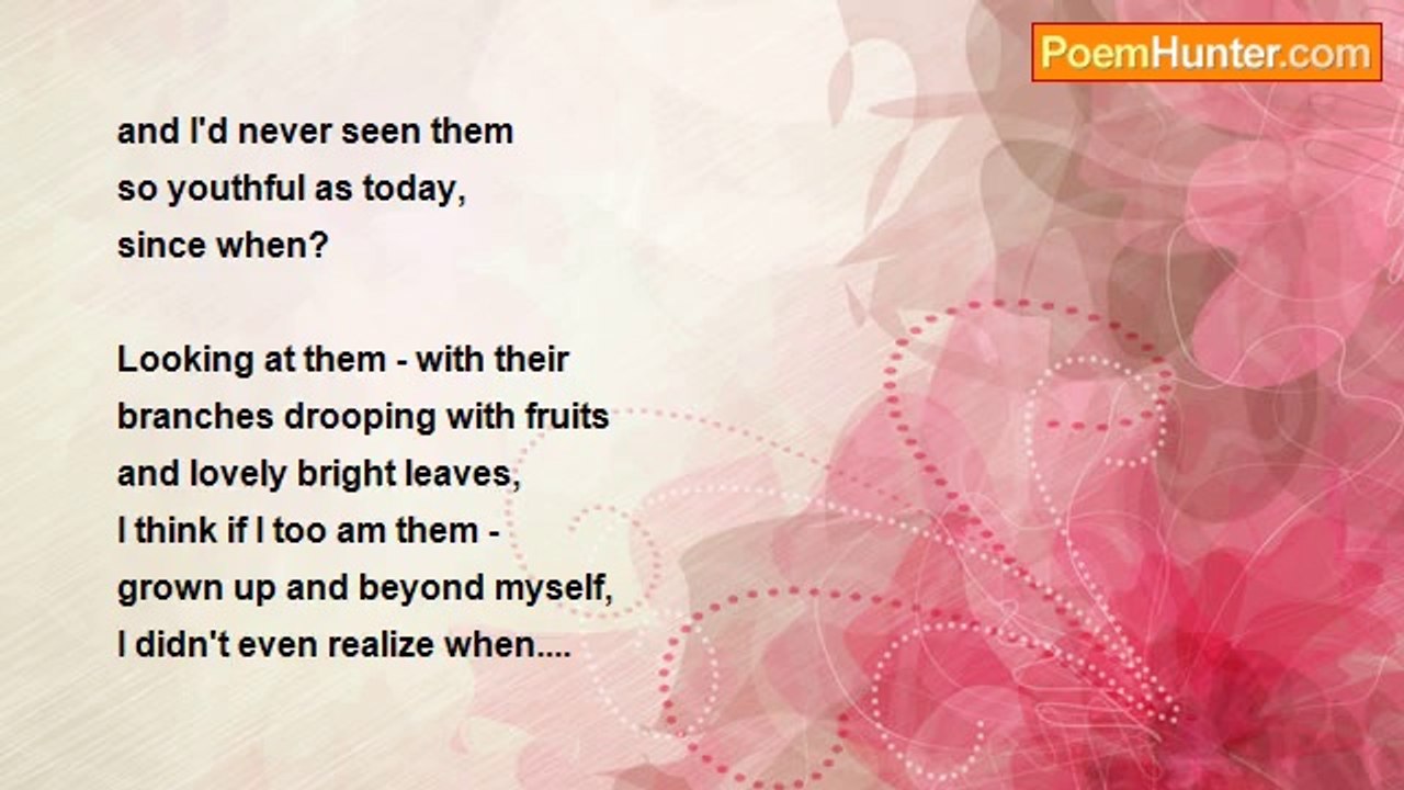 Amatulla Mohammadi - Beyond Myself