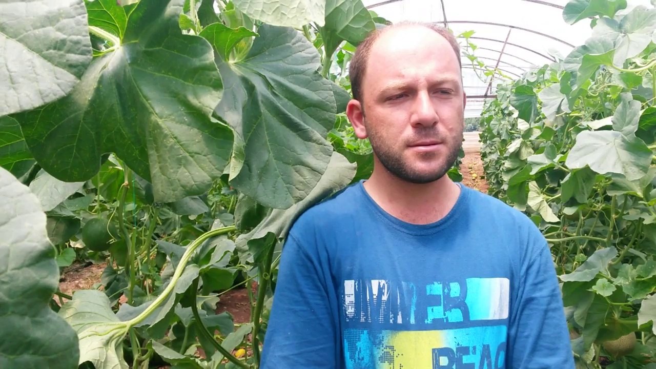 Kavun Serası - Kumluca Karcılar - Bayram Ersoy
