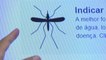World Cup: With handy app, Brazilians hope to fight dengue