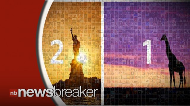 Delta Airlines Apologizes After Posting Picture of Giraffe to Represent Ghana After World Cup Loss to USA