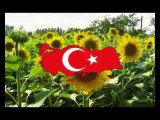 Türk olmak ne olmak demektir?!