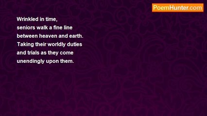 RoseAnn V. Shawiak - Wrinkled In Time