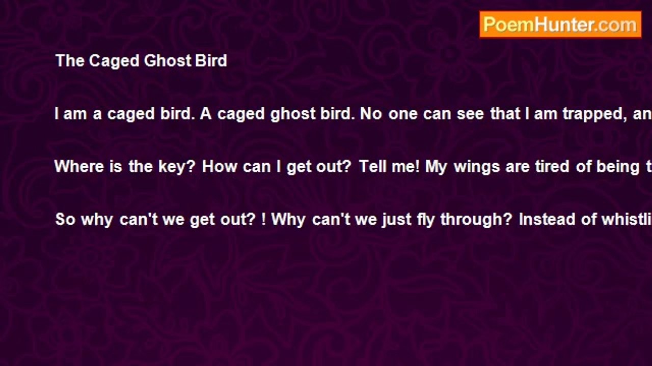 Ghost Kitty - The Caged Ghost Bird