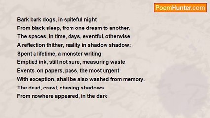 Sadiqullah Khan - Chasing Shadows