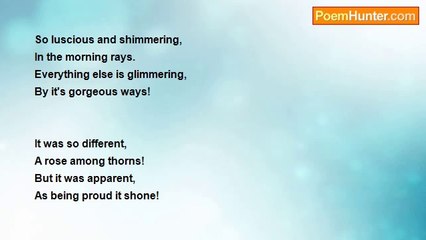 Sadvansha Munshi - Blue Butterfly