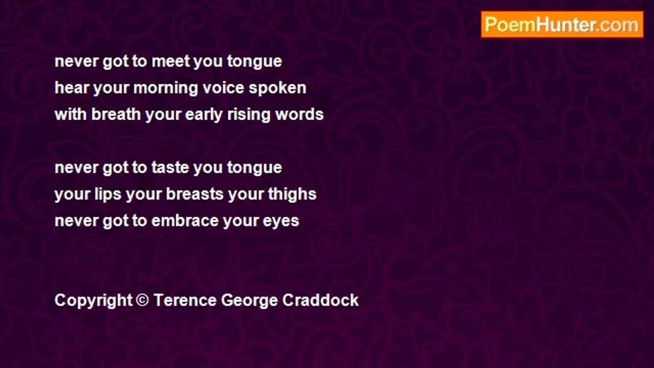 Terence G. Craddock - Never Got To Embrace Your Eyes