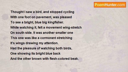 Daniel Trevelyn Joseph - Kingfisher