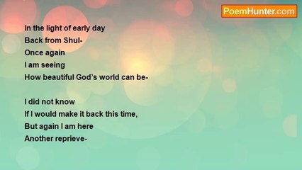 Shalom Freedman - Once Again I Am Walking Here