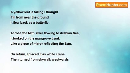 Daniel Trevelyn Joseph - Life and Things