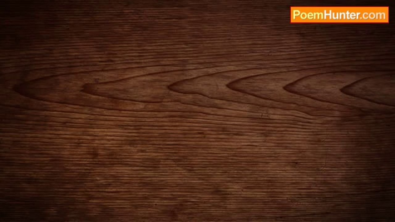 Pierre de Ronsard - Comme on voit sur la branche au mois de may la rose