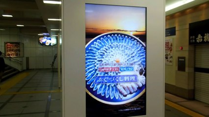 Cool Electronic Posters in Japan!