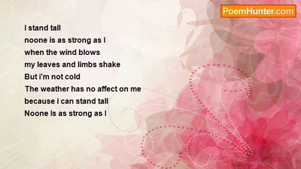 uder pressure - In the perspective of a tree