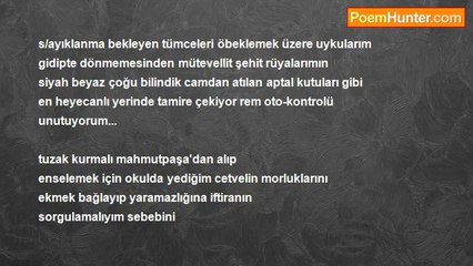 Muzaffer Akin - Rüya Avcısı  (Dream Hunter)