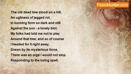 Ima Ryma - Mystery Tree