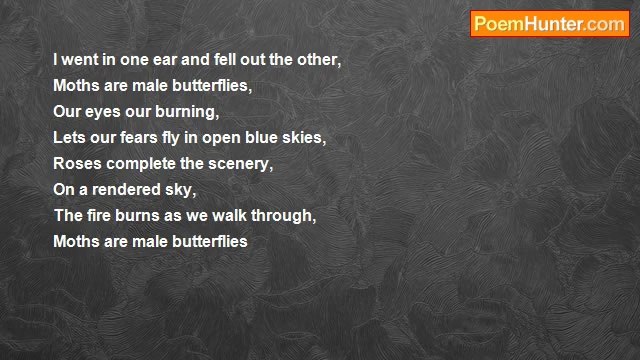 Craig Turner - Moths Are Male Butterflies